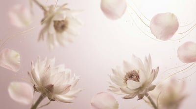 Soft-focus botanical floral background with pale flowers, translucent petals, and airy pastel light.