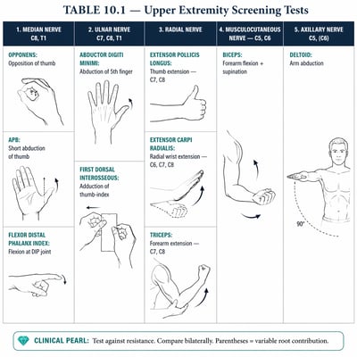 Medical infographic titled Table 10.1 Upper Extremity Screening Tests with five nerve panels, hand and arm line drawings, arrows, and clinical pearl footer.