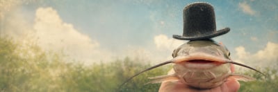 Wide vintage banner with a pink catfish in a black top hat, a supporting hand, meadow scenery, blue sky, and warm haze